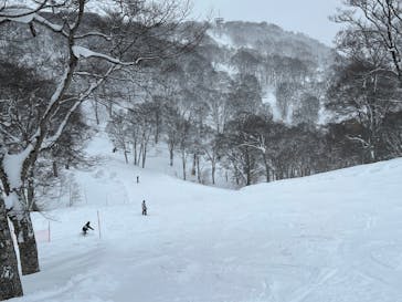 野沢温泉スキー場に投稿された画像（2022/1/20）