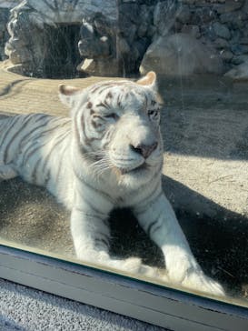 東武動物公園に投稿された画像（2022/1/20）