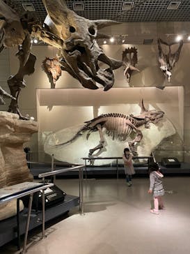 国立科学博物館に投稿された画像（2022/1/20）