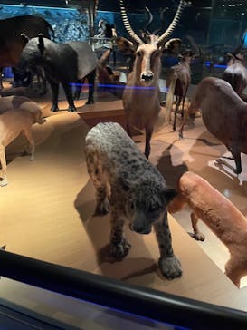 国立科学博物館に投稿された画像（2022/1/20）