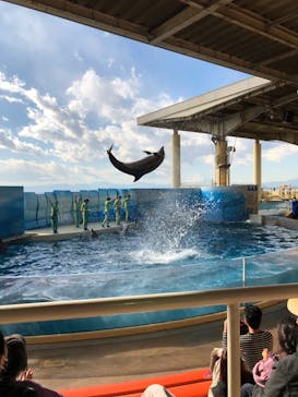 新江ノ島水族館に投稿された画像（2022/1/20）