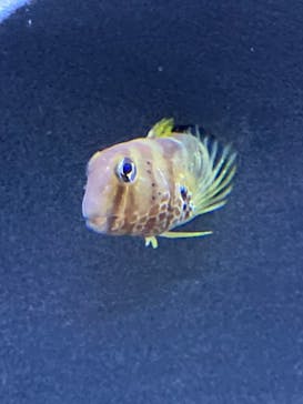 京都水族館に投稿された画像（2022/1/20）