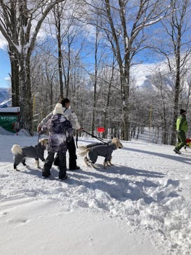 白馬八方尾根スキー場に投稿された画像（2022/1/20）