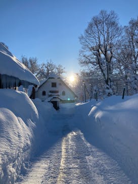 白馬八方尾根スキー場に投稿された画像（2022/1/20）