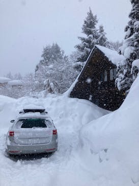 白馬八方尾根スキー場に投稿された画像（2022/1/20）