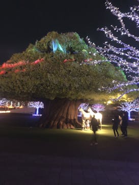 東京メガイルミに投稿された画像（2022/1/20）