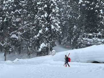 野沢温泉スキー場に投稿された画像（2022/1/21）