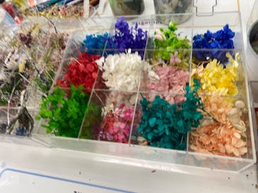 ずこうしつ〜sugamo〜に投稿された画像（2022/1/21）