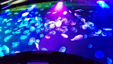 すみだ水族館に投稿された画像（2022/1/21）