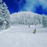 横手山・渋峠スキー場に投稿された画像（2022/1/21）