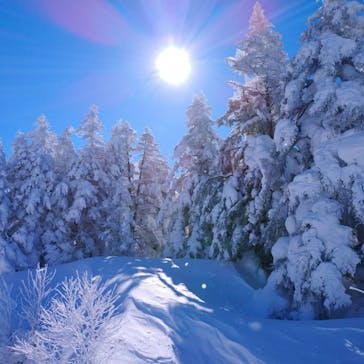 横手山・渋峠スキー場に投稿された画像（2022/1/21）