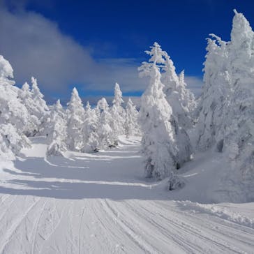 横手山・渋峠スキー場に投稿された画像（2022/1/21）