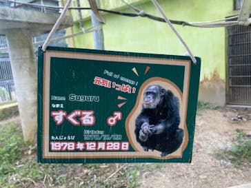 沖縄こどもの国に投稿された画像（2022/1/21）