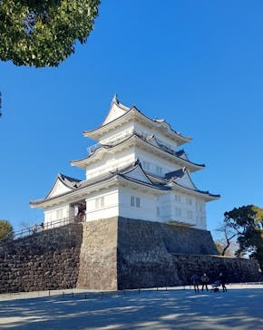 小田原城に投稿された画像（2022/1/21）