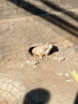 伊豆シャボテン動物公園に投稿された画像（2022/1/21）