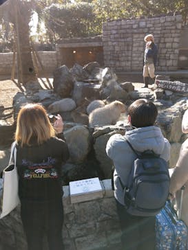 伊豆シャボテン動物公園に投稿された画像（2022/1/21）