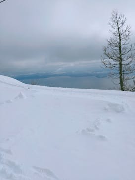 びわ湖バレイに投稿された画像（2022/1/22）