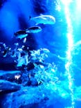 すみだ水族館に投稿された画像（2022/1/22）