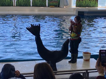 アクアワールド茨城県大洗水族館に投稿された画像（2022/1/22）