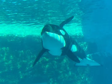 名古屋港水族館に投稿された画像（2022/1/22）