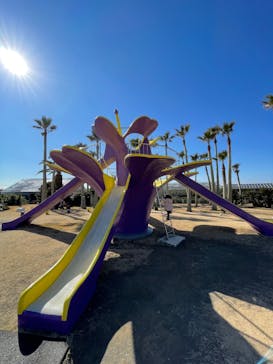 アロハガーデンたてやまに投稿された画像（2022/1/22）