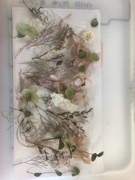 ずこうしつ〜sugamo〜に投稿された画像（2022/1/22）