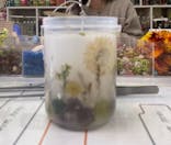 ずこうしつ〜sugamo〜に投稿された画像（2022/1/22）