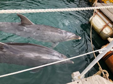 下田海中水族館に投稿された画像（2022/1/22）