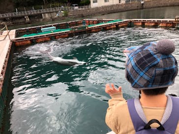 下田海中水族館に投稿された画像（2022/1/22）