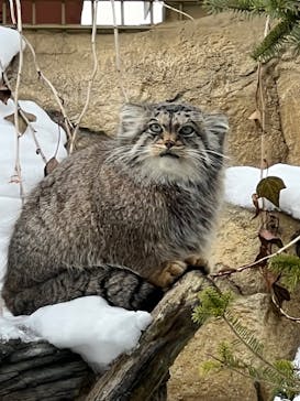 那須どうぶつ王国に投稿された画像（2022/1/22）