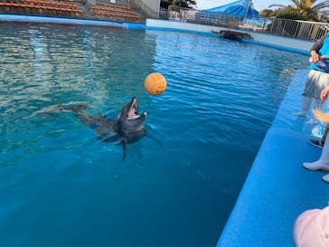 南知多ビーチランド＆南知多おもちゃ王国に投稿された画像（2022/1/22）