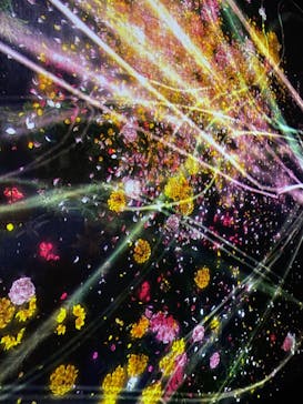 森ビル デジタルアート ミュージアム：エプソン チームラボボーダレスに投稿された画像（2022/1/22）