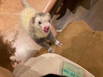 HARRY　横浜中華街店に投稿された画像（2022/1/22）