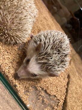 HARRY　横浜中華街店に投稿された画像（2022/1/22）