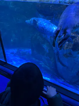 横浜・八景島シーパラダイスに投稿された画像（2022/1/22）