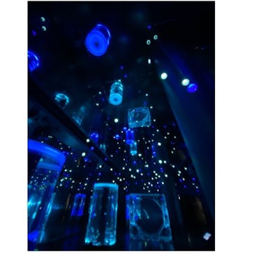 マクセル アクアパーク品川に投稿された画像（2022/1/22）