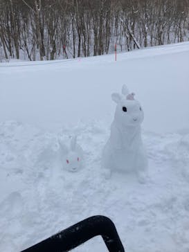 スプリングバレー仙台泉スキー場に投稿された画像（2022/1/22）