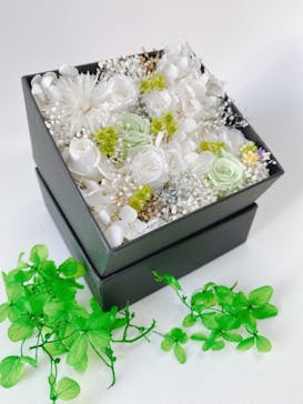 ずこうしつ〜sugamo〜に投稿された画像（2022/1/22）