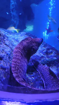 すみだ水族館に投稿された画像（2022/1/22）