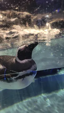 すみだ水族館に投稿された画像（2022/1/22）