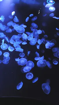 すみだ水族館に投稿された画像（2022/1/22）