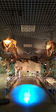 国立科学博物館に投稿された画像（2022/1/22）