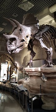 国立科学博物館に投稿された画像（2022/1/22）