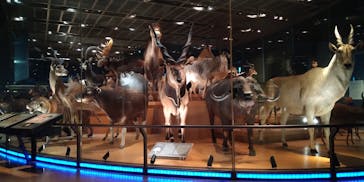 国立科学博物館に投稿された画像（2022/1/22）