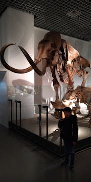 国立科学博物館に投稿された画像（2022/1/22）