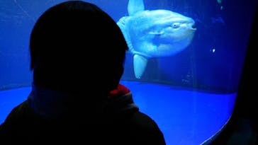 サンシャイン水族館に投稿された画像（2022/1/22）