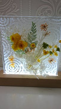 ずこうしつ〜sugamo〜に投稿された画像（2022/1/22）