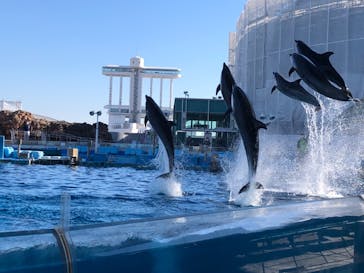 名古屋港水族館に投稿された画像（2022/1/22）