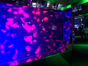 名古屋港水族館に投稿された画像（2022/1/22）