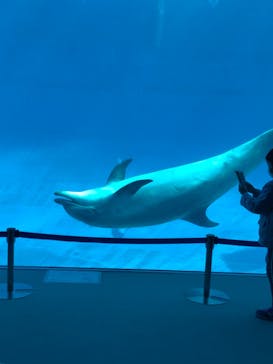 名古屋港水族館に投稿された画像（2022/1/22）